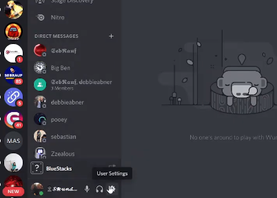 Discord user settings