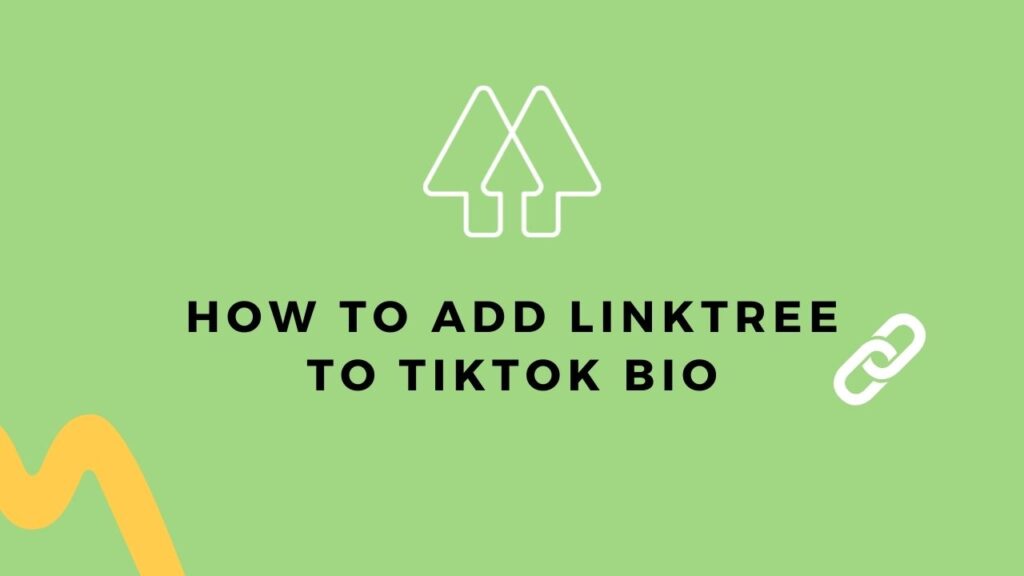 How To Add Linktree To TikTok Bio