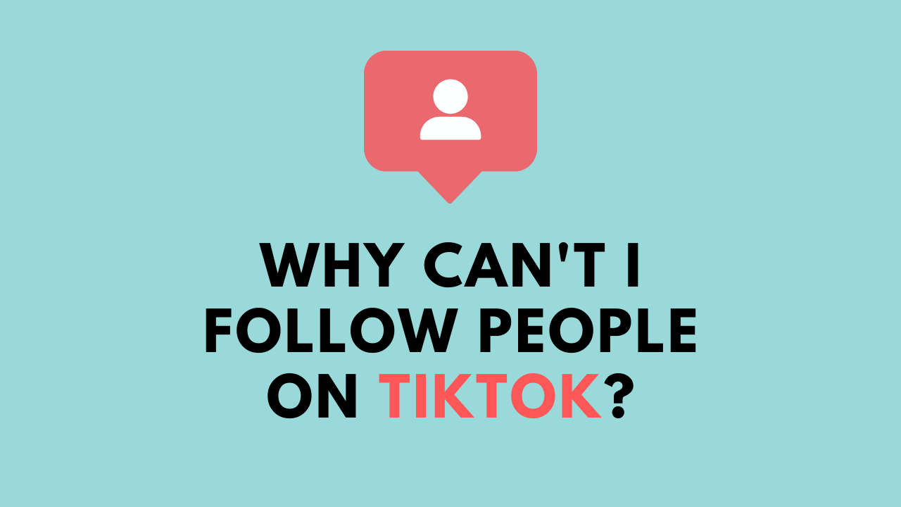 Why Can't I Follow People On TikTok? - SocialMinotaur